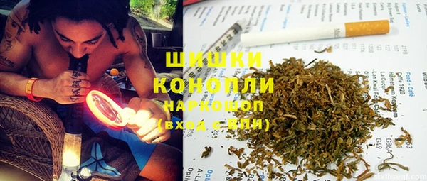 гидра Богородицк